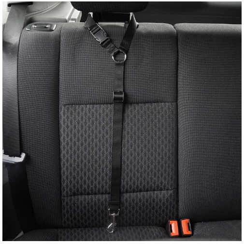 Safety rope ring for car CG901